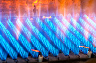 Birks gas fired boilers